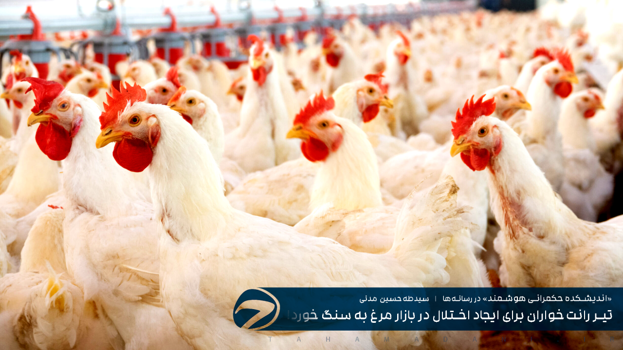 تیر رانت‌خواران برای ایجاد اختلال در بازار مرغ به سنگ خورد!